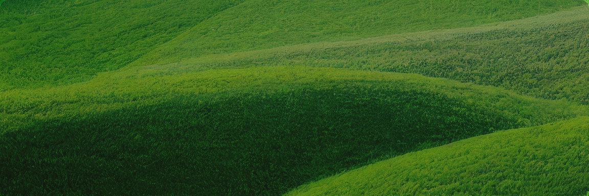 ̫�����ŵ�����Ϸ(�й�)���޹�˾