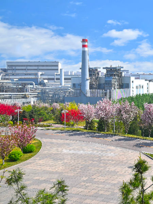 ̫�����ŵ�����Ϸ(�й�)���޹�˾