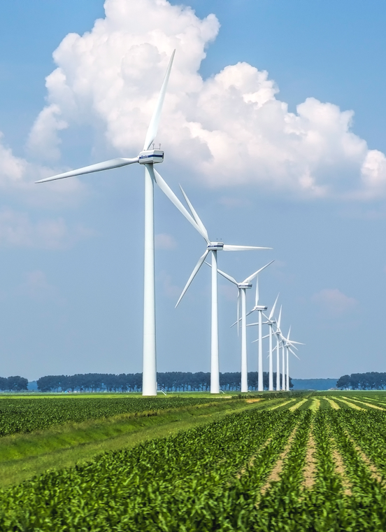 ̫�����ŵ�����Ϸ(�й�)���޹�˾