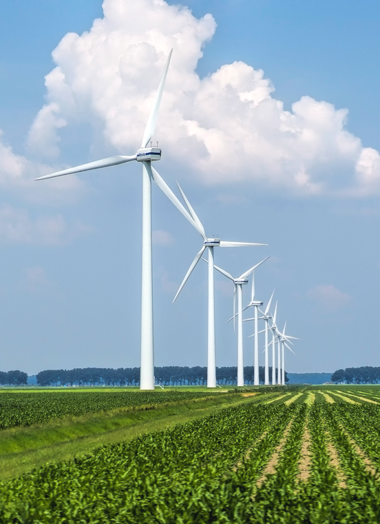 ̫�����ŵ�����Ϸ(�й�)���޹�˾